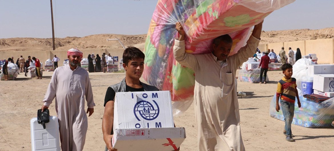 The International Organization for Migration (IOM) in close coordination with the Ministry of Migration and Displacement in Iraq is distributing non-food item kits to families in Al Habanyah displaced from west Anbar.