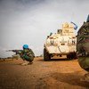 联合国刚果民主共和国稳定团在加奥地区执行任务。联刚稳定团/Harandane Dicko