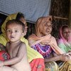 Après avoir fui leurs foyers au Myanmar, ces familles Rohingya se sont installées dans le camp improvisé de Balukhali, à Cox's Bazar, au Bangladesh.
