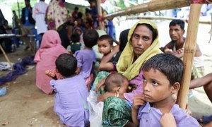 A reception point for Rohingya refugees at Haria Khali Primary School in Sabrang Union of Teknaf Upazila, in Bangladesh. OCHA/Anthony Burke