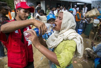 Le personnel du HCR et des volontaires partenaires aident les réfugiés rohingyas à leur arrivée dans un centre de transit près du village d'Anjuman Para, dans le district de Cox's Bazar, au sud-est du Bangladesh, après avoir été coincés pendant près de quatre jours à la frontière avec le Myanmar.
