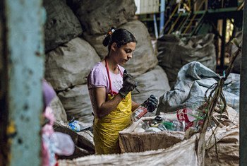 This photo, which won the SDGs Student Photo Contest, jointly held by UNIC Tokyo and Sophia University in Japan, depicts a woman collecting recyclables to earn income as part of a programme, which cooperates with the city of Assis in São Paulo, Brazil.  P