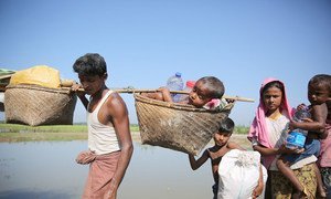 Rohingya refugees cross into Bangladesh from Myanmar at the Anjumanpara border crossing point.
