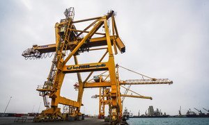 The Al Hudaydah port is a major lifeline for Yemen, bringing in food and humanitarian assistance. These cranes have been out of service since mid-2015, with little hope of repair anytime soon.