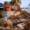 A UNICEF staff member walks through fallen trees and debris of a house destroyed by Typhoon Damrey in Phu Yen province, Viet Nam.
