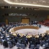 安理会15个成员一致投下了赞成票。 联合国图片/Evan Schneider
