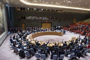 安理会15个成员一致投下了赞成票。 联合国图片/Evan Schneider