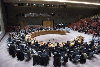 Le Conseil de sécurité lors du vote sur une résolution portant sur le Mécanisme conjoint d'enquête ONU-OIAC sur l'utilisation présumée d'armes chimiques en Syrie (JIM).