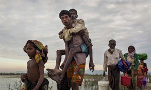 Беженцы из числа рохинджа пытаются добраться до Бангладеш 
