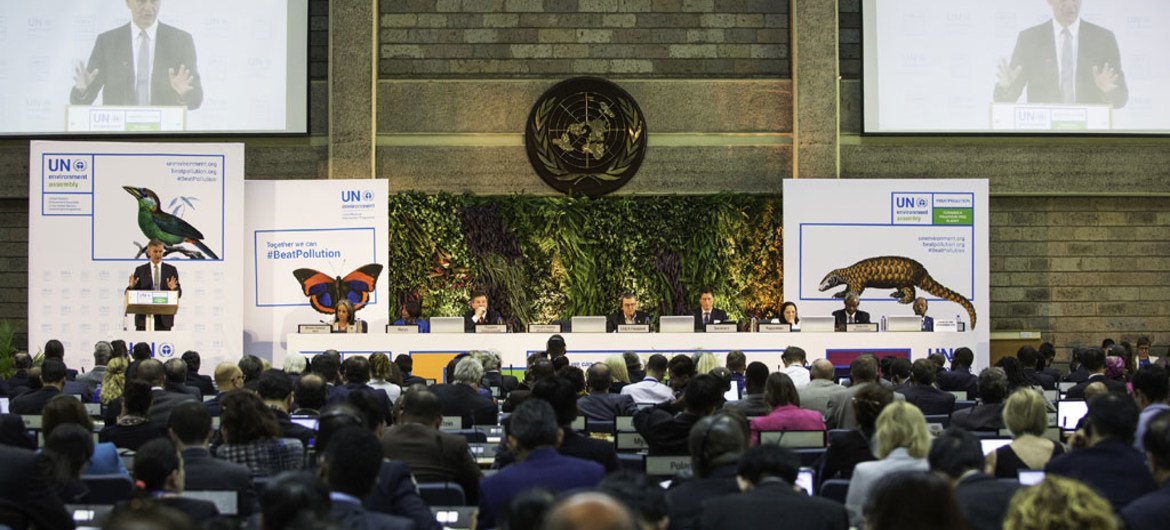 第三届联合国环境大会12月4日至6日在内罗毕首都肯尼亚举行。图片：UNEP Natalia Mroz