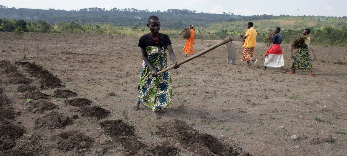 Women of the Batwa community dig the soil with a hoe to prepare for planting potatoes, in Gashikanwa, Burundi.