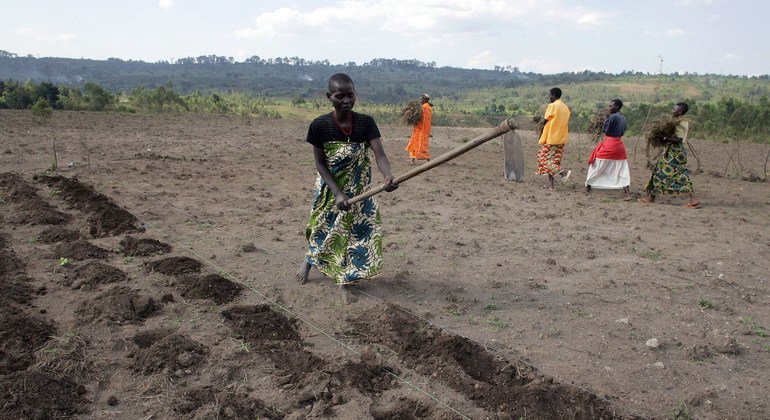 Una mujer labra la tierra para plantar patatas en Gashikanwa, Burundi.