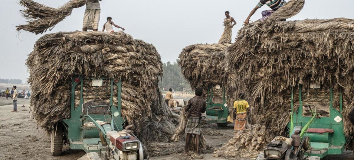 Loading farm carts in Bangladesh.
