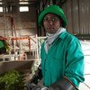 Un ouvrier trie des feuilles de thé vert avant qu'elles n'atteignent l'étage de traitement principal de l'usine de traitement du thé de Kitabi, au Rwanda.