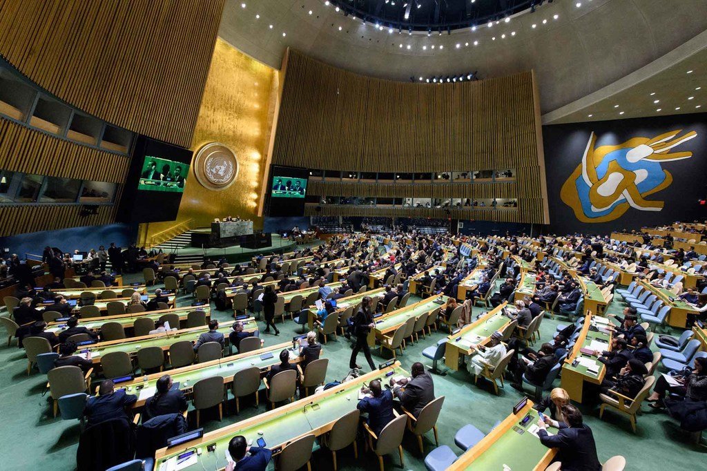 La Asamblea General de la ONU. 