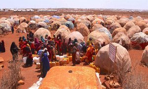 Baidoa, Somalie : des personnes déplacées dans le camp de Bulo Isak attendent de collecter de l'eau potable.
