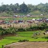 Refugiados estabelecendo abrigos temporários entre campos de arroz, após cruzarem a fronteira