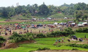 Refugiados estableciendo un campamento entre arrozales, tras haber cruzado la frontera.