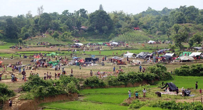 Refugiados estableciendo un campamento entre arrozales, tras haber cruzado la frontera.