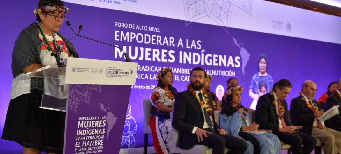 Plenaria del Foro de alto nivel: Empoderar a las mujeres indígenas para erradicar el hambre y la malnutrición en América Latina y el Caribe. 