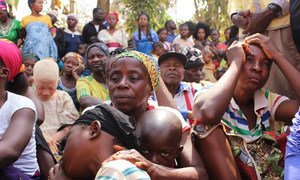 Families, fleeing unrest in English-speaking Cameroon, seek refuge in Utanga, Obanliku, Nigeria. Ongoing clashes between Cameroonian State forces and armed separatists have raised concerns of human rights violations.