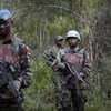联合国组织驻刚果民主共和国稳定特派团的联合干预部队与刚果民主共和国武装部队的士兵巡逻。联合国图片/ Sylvain Liecht