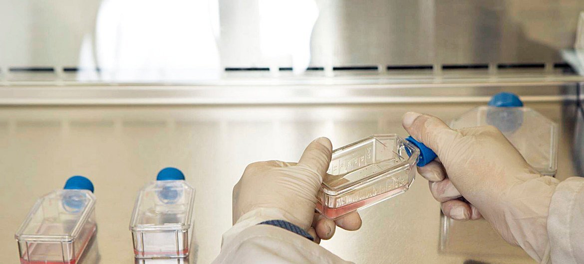 Lab assistant growing culture viruses and bacteria in the “Infectious Room” of the Cancer Institute of Columbia.