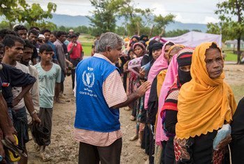 Refugiados rohingya.