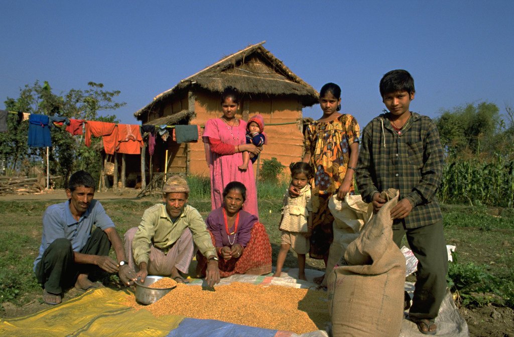 Une famille d'agriculteurs étalent des céréales pour les faire sécher à l'extérieur de leur maison dans le district de Chitwan, dans le  centre du Népal.