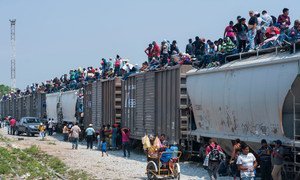 Des migrants sur le toit d'un train qui circule du Mexique vers les Etats-Unis (archives).