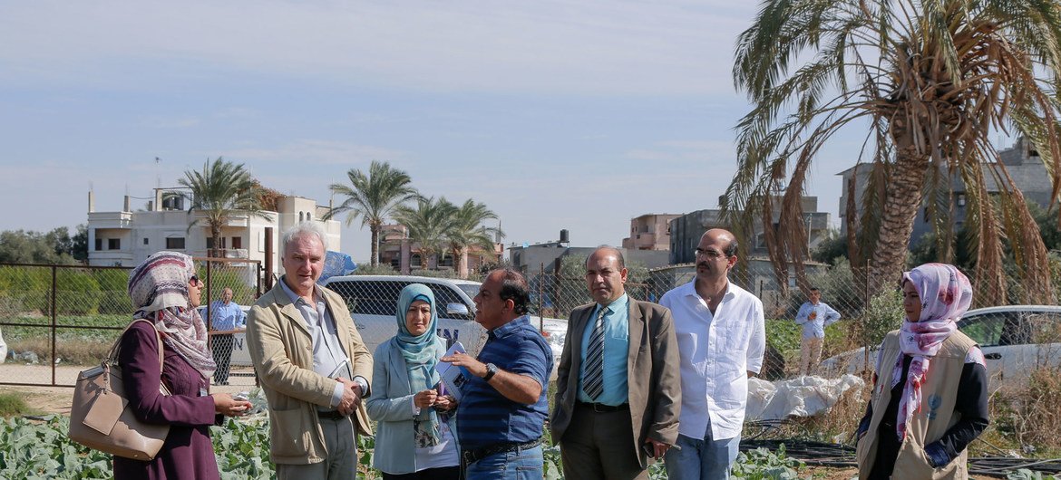 Des responsables de l’Office de secours et de travaux des Nations Unies pour les réfugiés de Palestine dans le Proche-Orient (UNRWA) visitent un projet agricole dans la bande de Gaza soutenu par le Programme de création d’emploi mis en place par l’agence.