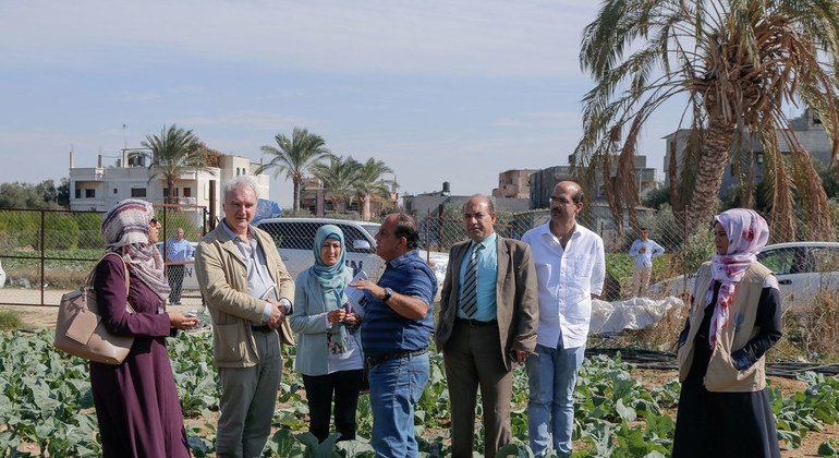 Matthias Schmale (2nd from left), Director of UNRWA Operations, accompanied by Area Office, Middle area's Deputy Chief Sami Salhi being briefed by Head of Job Creation Programme (JCP) Maher Safi on the JCP’s agriculture project in the Middle area, Gaza St