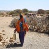 一名妇女在索马里邦特兰首府加罗威西南15公里的一个叫做萨拉克斯雷的村庄行走。该地区是受到干旱最严重影响的地区之一。