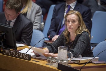 Заместитель Постоянного представителя США при ООН Келли Карри 