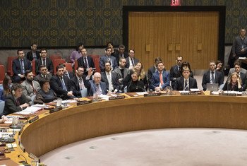 安理会2018年2月26日就也门问题决议进行表决。