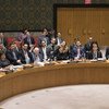 安理会2018年2月26日就也门问题决议进行表决。