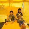 Deux enfants partagent un lit dans un centre de traitement du choléra à Sana'a, au Yémen.