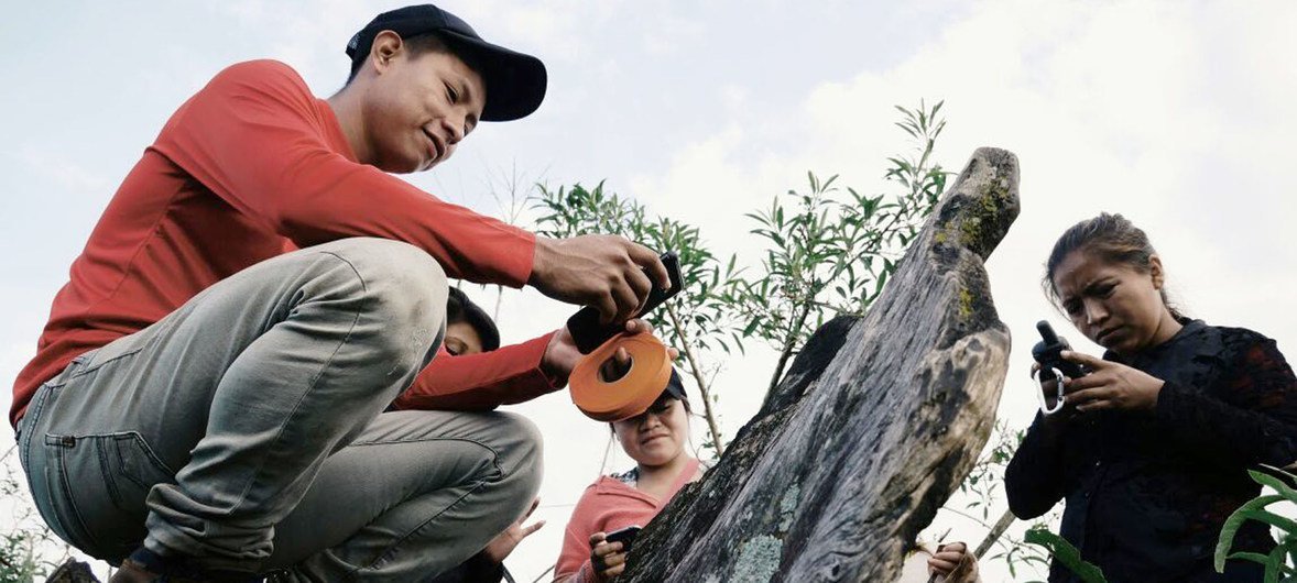 FAO soutient les efforts pour sauver les forêts du Paraguay.