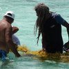 Pescadores reciben una capacitación en el cultivo de algas marinas en Placencia, Belice, en el marco de una actividad de cooperación sur-sur. 