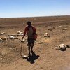 (من الأرشيف) يعاني الصومال من آثار تغير المناخ المتطرفة بشكل شديد، مثل الجفاف والفيضانات. في الصورة، راع في شمال البلاد فقد نصف قطيعه بسبب الجفاف.