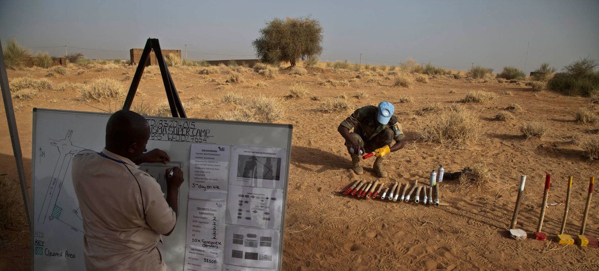 Le Service d'action antimines de l'ONU (UNMAS), en collaboration avec les soldats de la paix sénégalais, effectue une recherche visuelle sur le site d'un futur camp militaire de l'ONU à Gao, au Mali.