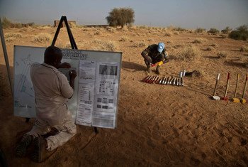 Le Service d'action antimines de l'ONU (UNMAS), en collaboration avec les soldats de la paix sénégalais, effectue une recherche visuelle sur le site d'un futur camp militaire de l'ONU à Gao, au Mali.