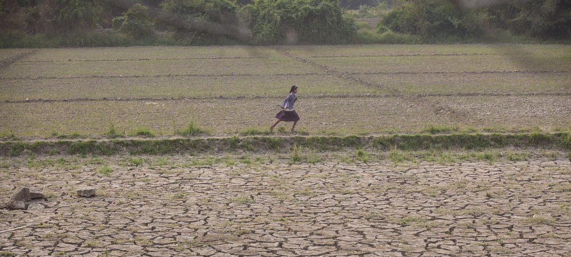 ミンマーのサガイン地方の荒れ果てた農地を駆け抜ける少女。