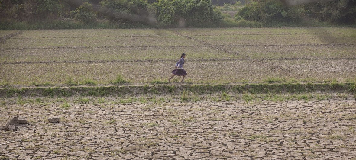 Région de Sagaing, Myanmar : une fille traverse un champ agricole endommagé par des inondations qui ont enseveli la terre fertile sous plusieurs mètres de boue.