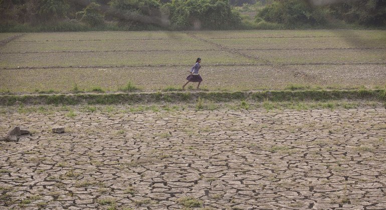 Una chica corre por los desérticos campos de cultivo de la región de Sagaing, en Myanmar, donde las inundaciones han arrasado con el suelo fértil.