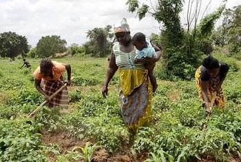 O setor agrário moçambicano tem como base a agricultura familiar.