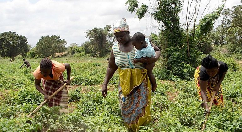 Moçambique reduziu em 32% o nível de insegurança alimentar e o número de pessoas com fome nos últimos 10 anos.