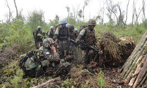 Las fuerzas especiales de Tanzania establecen comunicaciones con sus interlocutores durante una operación en el bosque Kalima, en Rutshuru, la República Democrática del Congo en diciembre de 2016. 