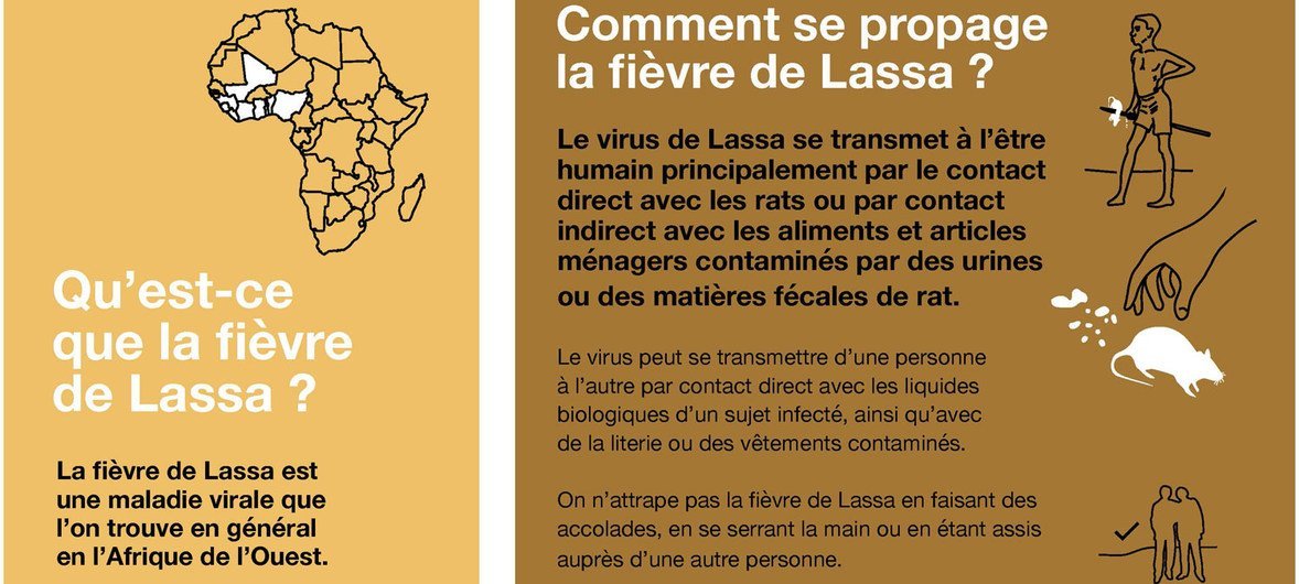 La sensibilisation fait partie des efforts menés par l'OMS pour lutter contre la fièvre de Lassa.