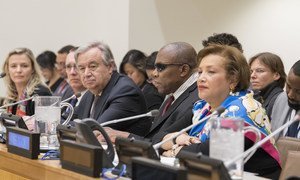 Comité spécial des Nations Unies sur la décolonisation lors de l'ouverture de sa session 2018
